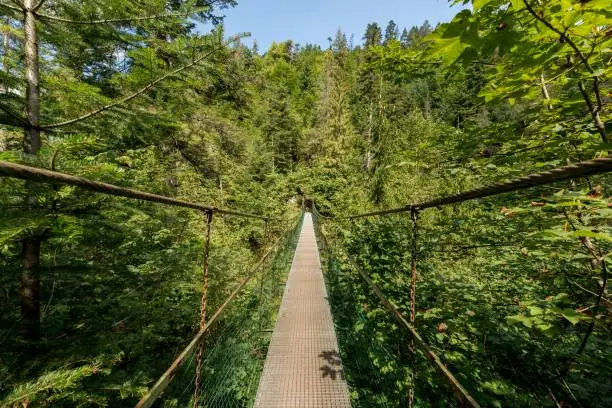 Photo of The Slovak Paradise National Park