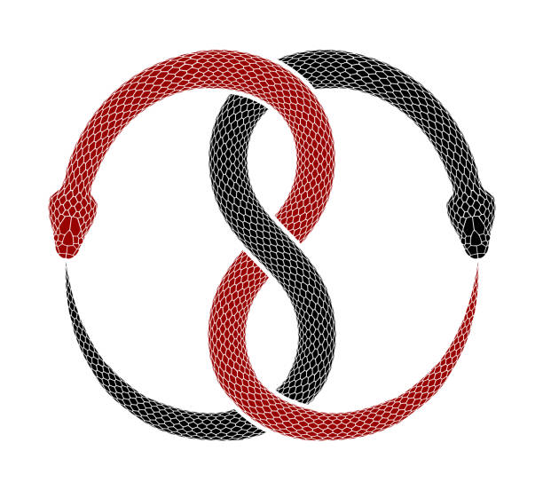 Vector Ouroboros symbol tattoo design isolated on a white background. Ouroboros symbol tattoo design. Vector illustration of two intertwined snakes eat their tails. Red and black serpents isolated on a white background. squamata stock illustrations