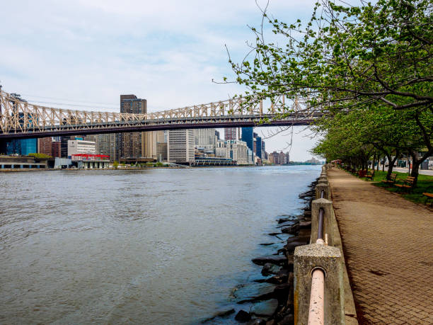 istock Roosevelt Island walkway under the cherry blossom 860232834