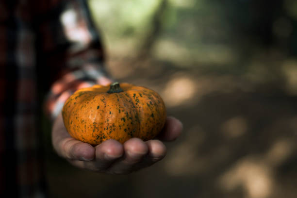istock man with a pumpkin in his hands 860236380