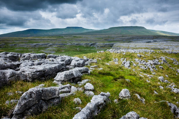 Yorkshire Dales National Park, England Limestone and wide landscape in the Yorkshire Dales National Par in North of England ingleborough stock pictures, royalty-free photos & images