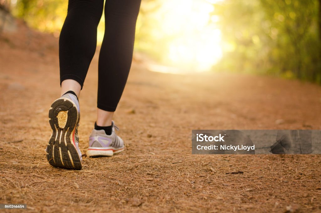 Walking in nature Pair of legs walking on a trail in nature towards the light Walking Stock Photo