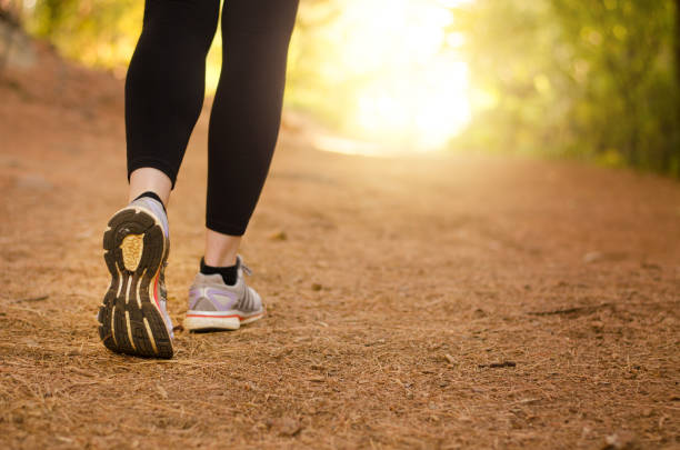 Walking in nature Pair of legs walking on a trail in nature towards the light someone walking sneakers stock pictures, royalty-free photos & images