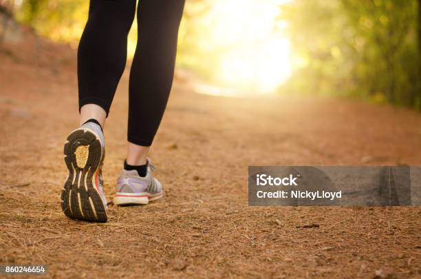 Walking In Nature Stock Photo - Download Image Now - Walking, Exercising, Women