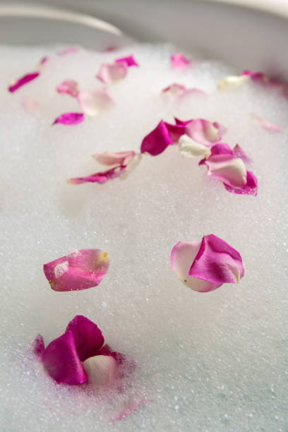 istock pink rose petals in the bubble 860254980