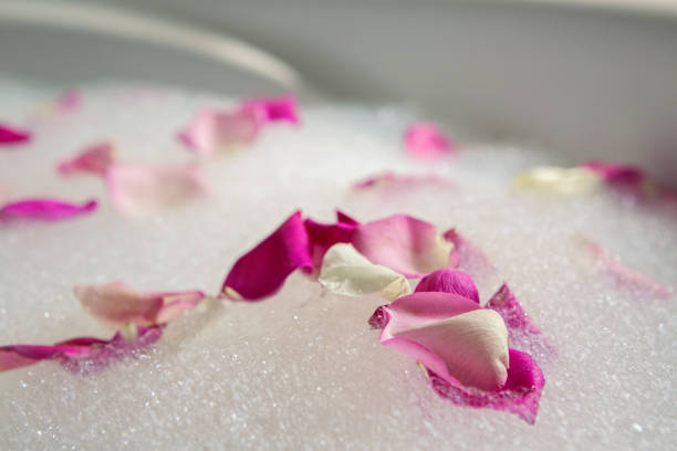 istock pink rose petals in the bubble 860255148