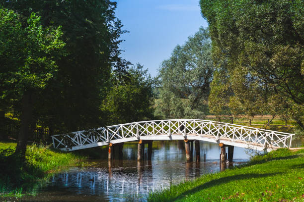 istock Summer landscape with old wooden bridge 860255372