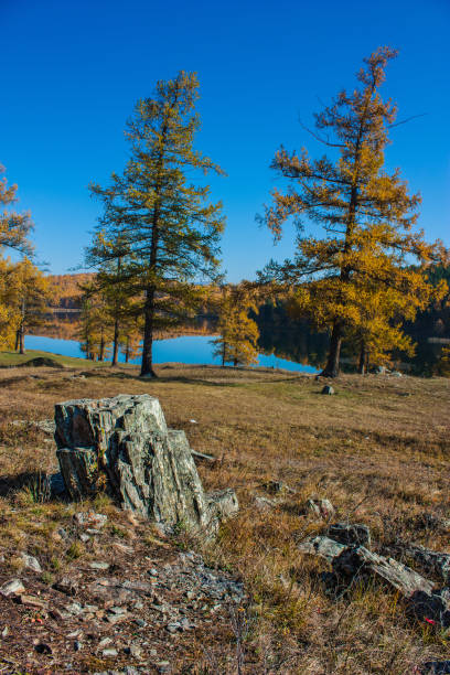 istock Fall colored larch trees are reflected in a beautiful mountain lake 860255872