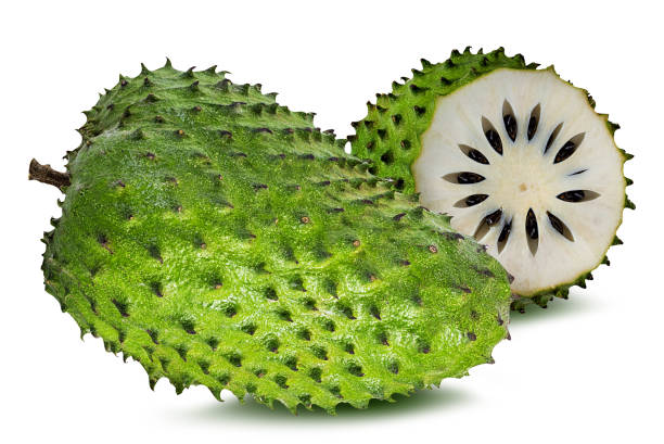 Annona muricata.Soursop fruit (Sugar Apple ,custard apple ) isolated on white Annona muricata.Soursop fruit (Sugar Apple ,custard apple ) isolated on white backgroundAnnona muricata.Soursop fruit (Sugar Apple ,custard apple ) isolated on white background annona muricata stock pictures, royalty-free photos & images