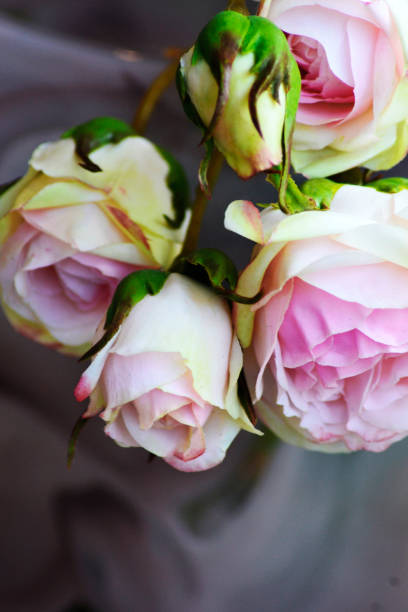 istock Part of a bouquet 860268554