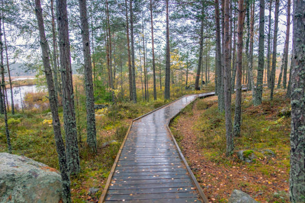 istock Lake Bruksdammen 860274590