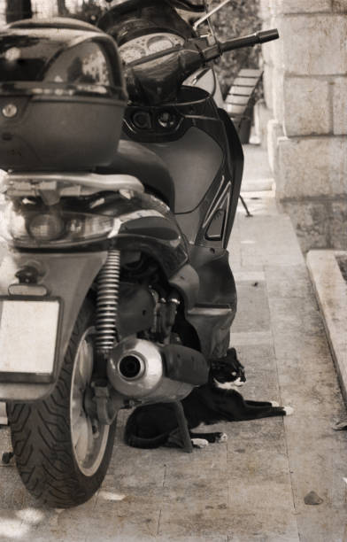 istock Cat and motor bike 860275174