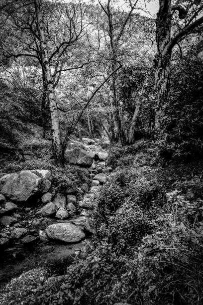 istock Hiking and visitor Center 860275496