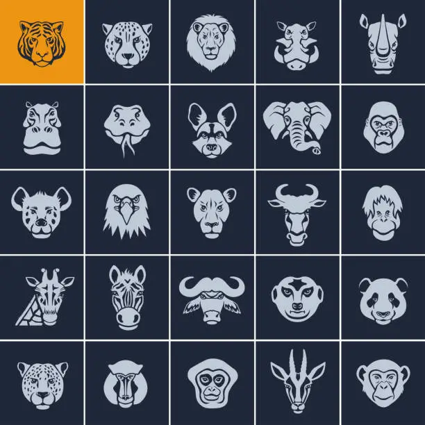 Vector illustration of African Animal Face Icons
