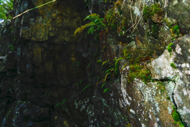 istock Texture stone rock in the mountains 860291116