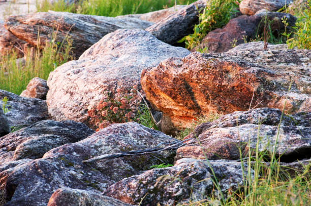 istock Rocks by Lake Lanier at sunrise 860292174