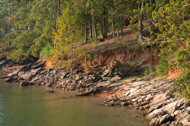 istock Shore scenery of Lake Lanier 860292346