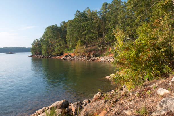 istock Scenery of Lake Lanier from Oliver Pointe 860292358
