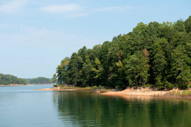 istock Summer scenery of Lake Lanier 860292370