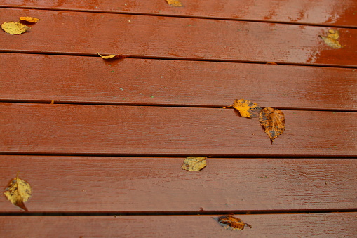 Autumn leaves fall from the trees during a chilling rain landing on a homes deck and outdoor furniture