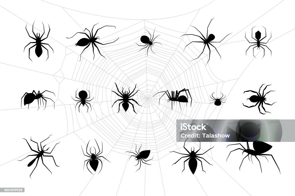 Spiders Vector Set Stock Illustration - Download Image Now - Spider ...