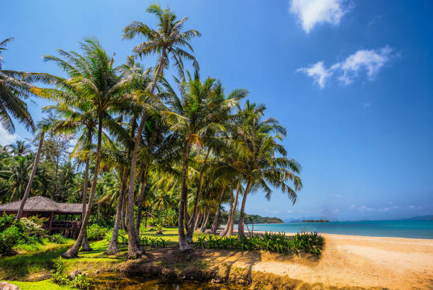 istock Beautiful tropical beach at island Koh Chang 860310270