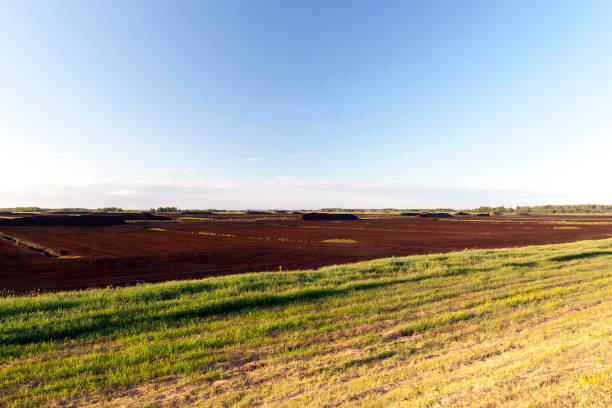 istock production of peat landscape 860312536