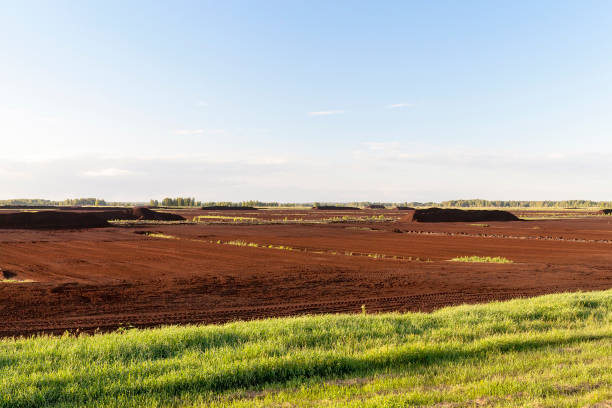 istock production of peat landscape 860312560