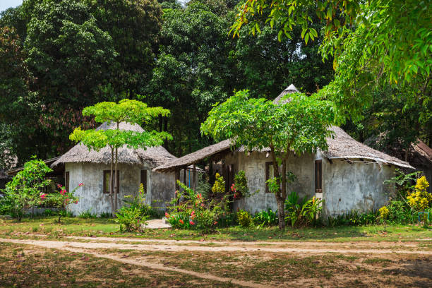 istock Green forest and huts in a misty morning 860312820