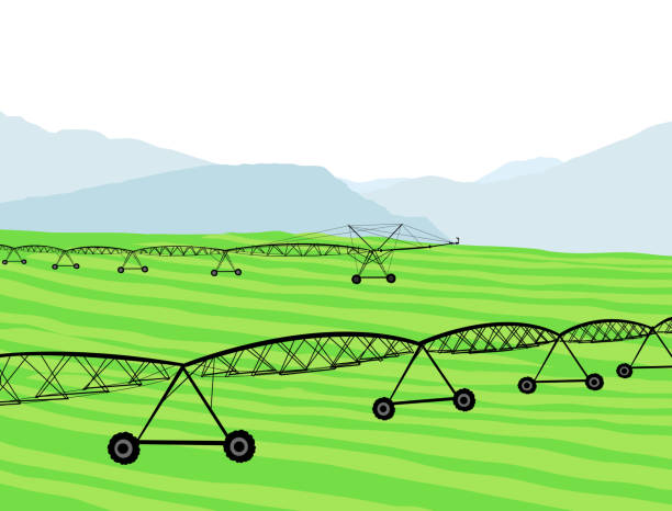 New Season Sprouting Green agricultural fields with irrigation system in place farm clipart stock illustrations