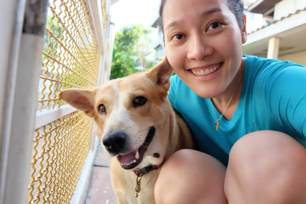 istock Asian woman selfie with dog 860313520