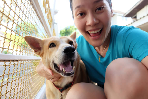 istock Asian woman selfie with dog 860313524