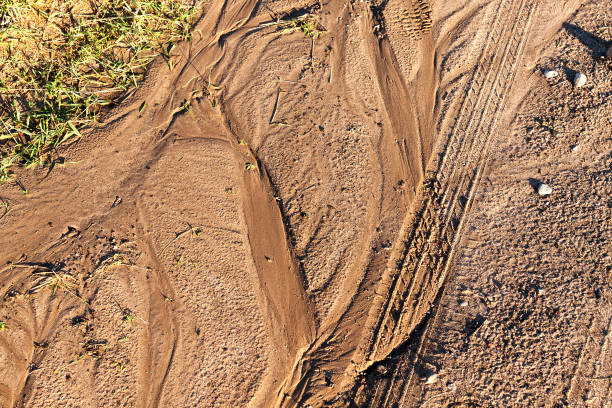 istock traces of water on the ground 860313550