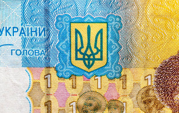 istock Ukrainian money, close-up 860317124