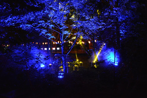 Moving spotlight projectors illuminate the forest for Diwali Festival of Lights at Arreton in the UK.