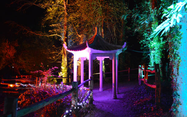istock Illumniated Forest Walk and Pagoda at Night 860322456