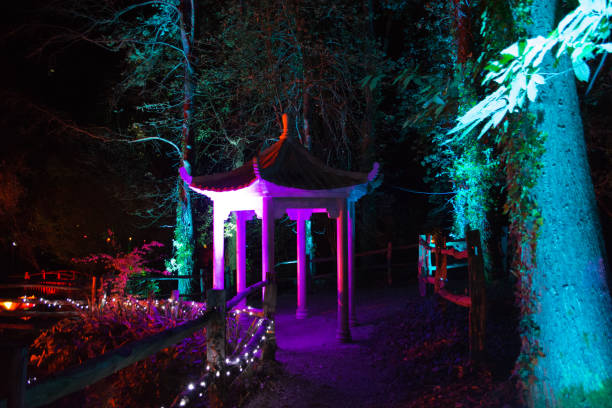 istock Pagoda in the Forest at Night 860322462