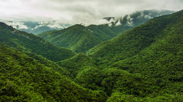 istock An aerial view of  forest and Mountain . 860324844