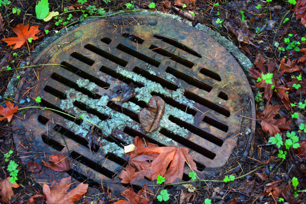 istock Old Metal Storm Drain Lid 860329244