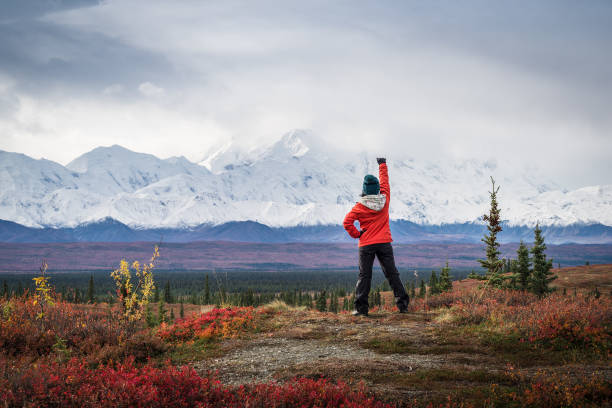 путешественник на вершине горы с прямым видом на гору денали - rock human hand human arm climbing стоковые фото и изображения