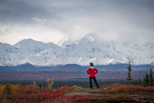 Hiker at mountain top with direct view of the Denali Mountain