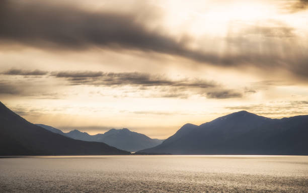 istock landscape along the Alaska highway 1 860334642