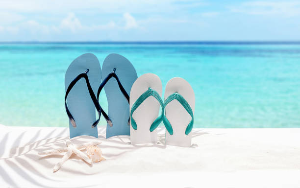 istock Summer vacation concept with accessories on sandy beach 860342128