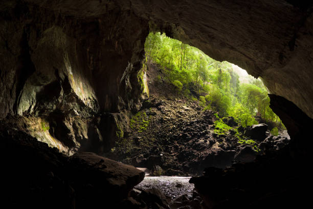 ビューから中鹿の洞窟グヌン ムル国立公園 - グヌンムル国立公園 ストックフォトと画像