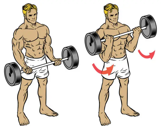 Vector illustration of male fitness workout doing barbell durl to train the bicep