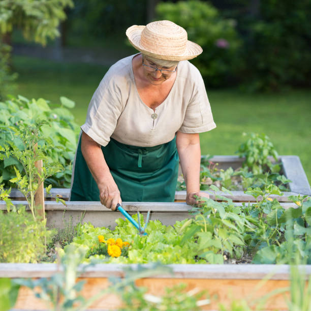 istock Woman Working in Garden 860355400