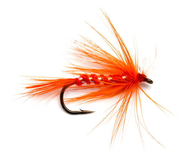 istock Fluffy fly fishing hook isolated on white 860358486