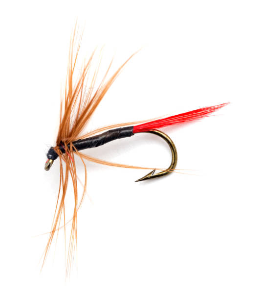 istock Fluffy fly fishing hook isolated on white 860358520