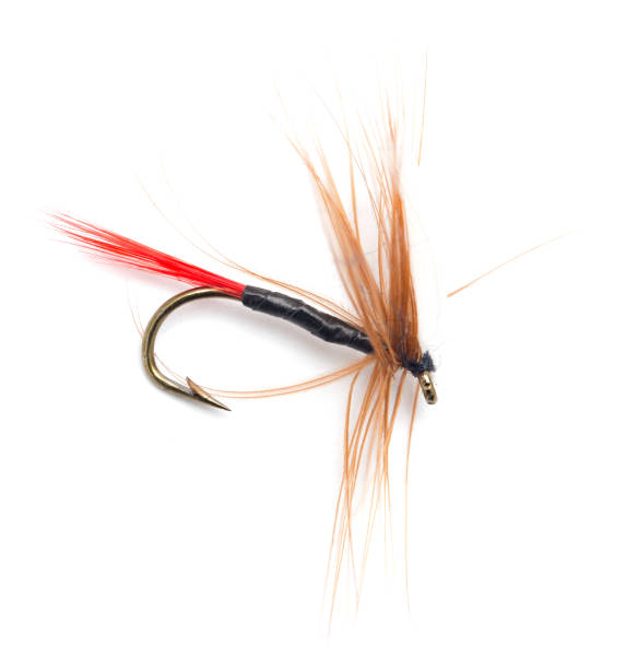 istock Fluffy fly fishing hook isolated on white 860358522