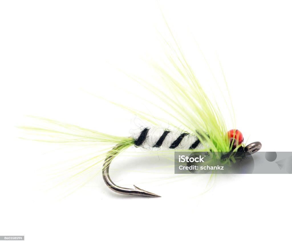 Fluffy Fly Fishing Hook Isolated On White Stock Photo - Download Image Now  - Fly - Insect, Golf Cart, Horizontal - iStock